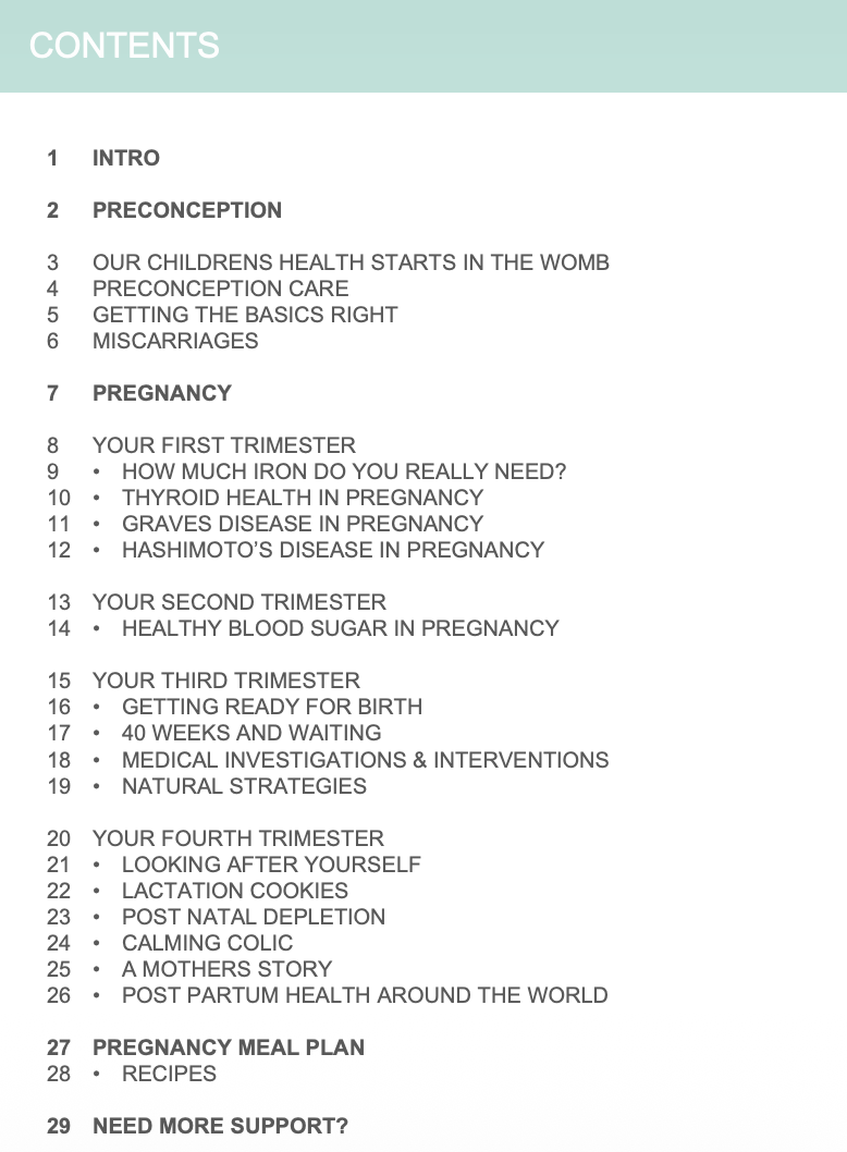 The Motherhood Guide