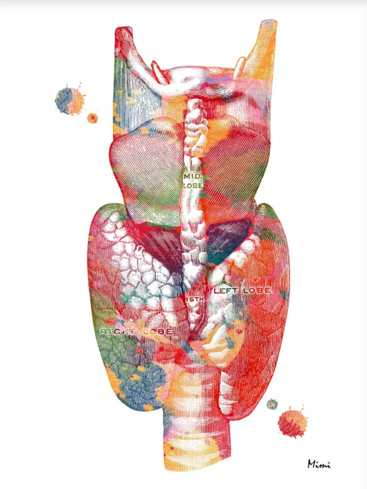 Pregnancy and your Thyroid