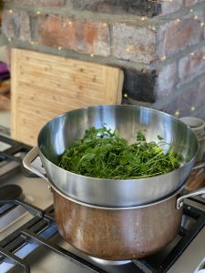Homemade Chickweed Avo Balm